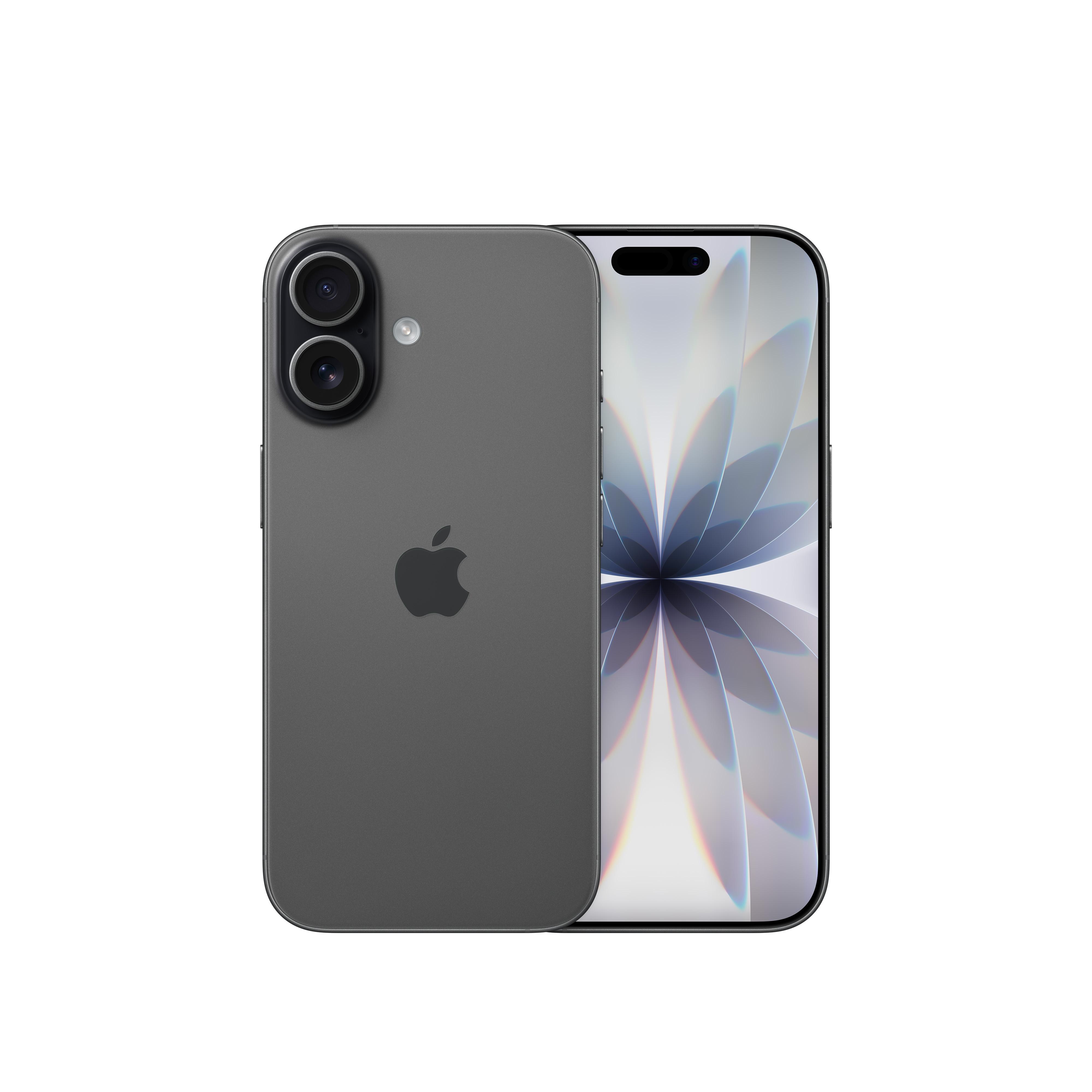 Apple iPhone 17 256GB Schwarz MG6J4ZD/A