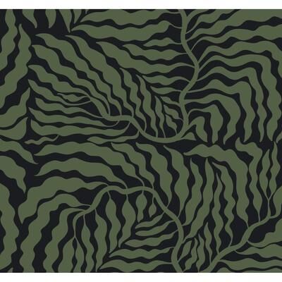York Wallcoverings Fern Fronds Black & Green Wallpaper
