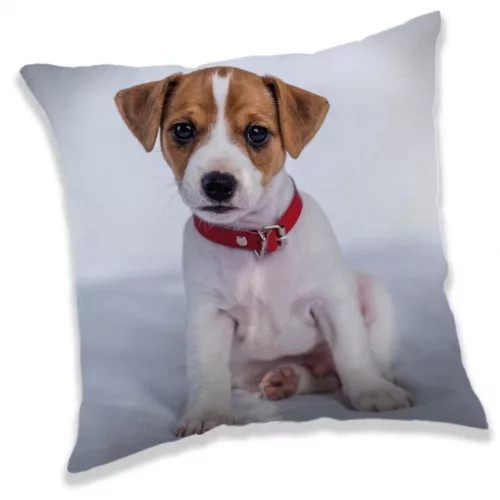 Hond sierkussen 40 x 40 cm