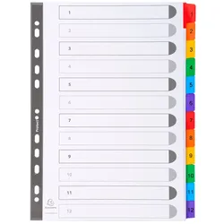 Exacompta Register numerisch bedruckt, weißer Karton 160g/qm, 12 Taben, 1-12, DIN A4