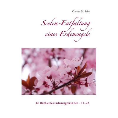 Seelen~Entfaltung eines Erdenengels, Taschenbuch von Clarissa M. Seite, BoD – Books on Demand, 978-3-7460-6187-0