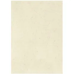 Baier & Schneider, Bastelpapier, Elefantenhaut (110 g/m2, 100x)
