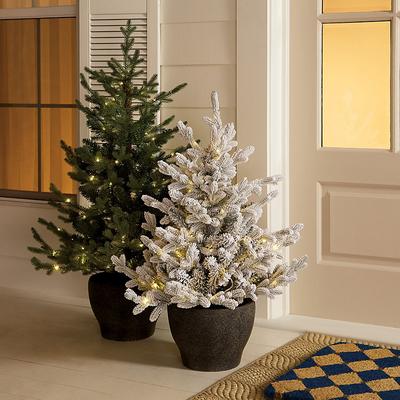 "Prelit Norway Spruce Potted Tree - Green 48"" - Ballard Designs"