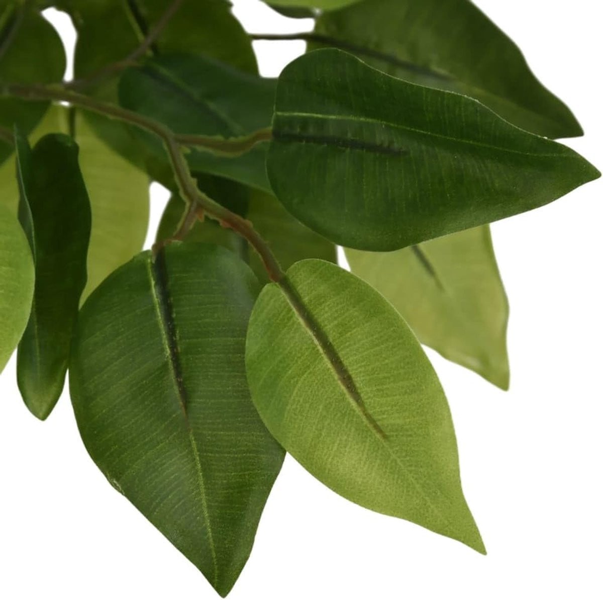 Kunstmatige Ficus Boom - Groen - Hoogte: 80 cm