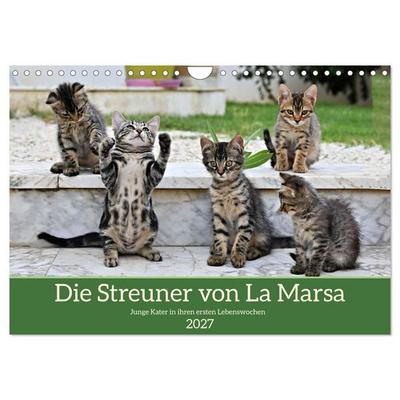 Die Streuner von La Marsa (Wandkalender 2027 DIN A4 quer), CALVENDO Monatskalender