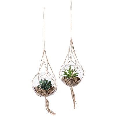 Kunstpflanze CREATIV GREEN "Sukkulenten", grün, H:11cm Ø:12cm, Kunststoff, Kunstpflanzen, Kunstpflanze, mit Makramee-Aufhängung