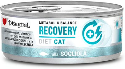 Disugual Cat Recovery de Linguado 12 uds x 85g