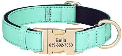 Uplifted Finds Pro Tech Personalized Waterproof Dog Collar green m