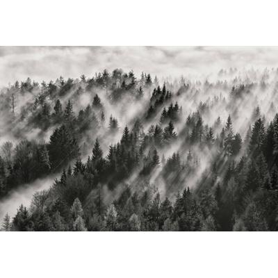 Fototapete PAPERMOON "Photo-Art DAVORIN BALOH, SUNDANCE NR1", bunt, B:5m L:2,8m, Vlies, Tapeten