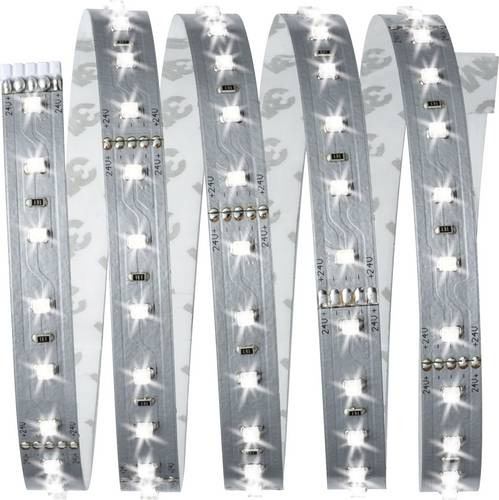 Paulmann MaxLED 500 70578 LED-Streifen-Basisset mit Stecker 24V 1.5m Tageslichtweiß 1St.