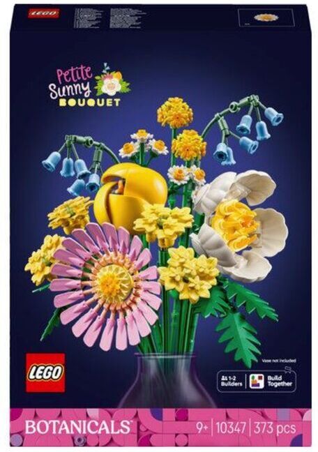 Lego BUQUE SOALHEIRO 10347