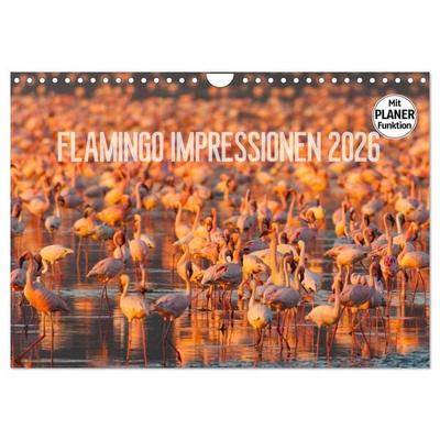 Flamingo Impressionen 2026 (Wandkalender 2026 DIN A4 quer), CALVENDO Monatskalender