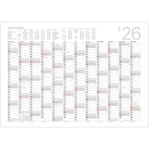 Kalenderwerk Plakatkalender Memo, Jahr 2026, Jahresplaner, 12 Monate, 96 x 68cm (B1)