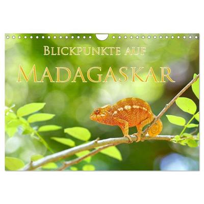 Blickpunkte auf Madagaskar (Wandkalender 2027 DIN A4 quer), CALVENDO Monatskalender