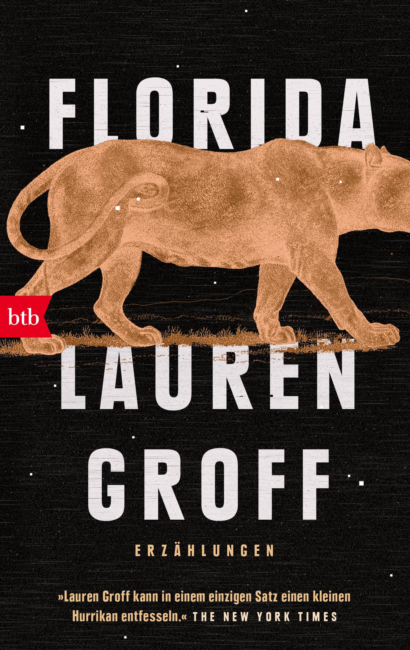 Lauren Groff - Florida: Erzählungen - Preis vom 16.10.2026 11:41:07 h