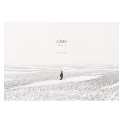 Adelie: Eismeer – Eisland, Gebundene Ausgabe von Vincent Munier,Laurent Ballesta,Luc Jacquet, Knesebeck, 978-3-95728-219-4