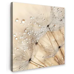 LEINWANDBILD Löwenzahn - Abstrakt - Natur - Beige Deko Groß 90x90 cm