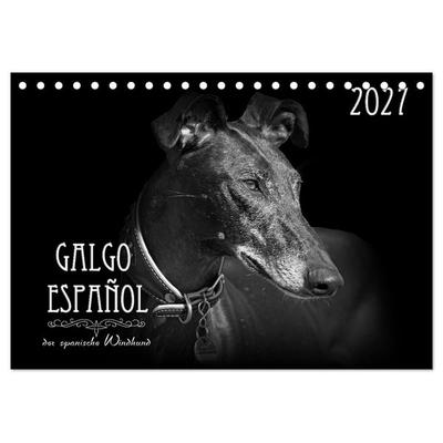 Galgo Español - der spanische Windhund 2027 (Tischkalender 2027 DIN A5 quer), CALVENDO Monatskalender