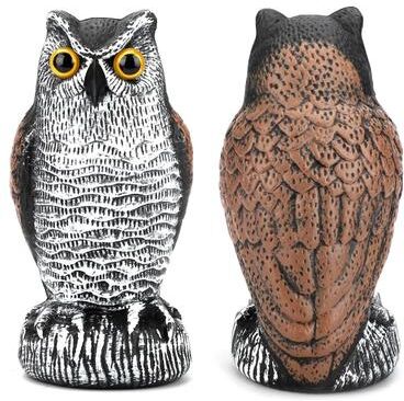 All Categories Goods Owl Decoy Statue Effective Bird Repellent & Pigeon Scarecrow For Garden And Yard Owl Decoy Statue Effective Bird Repellent & Pigeon Scarecrow For Garden And Yard