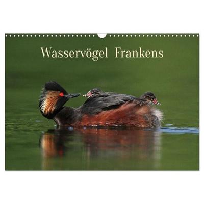 Wasservögel Frankens (Wandkalender 2027 DIN A3 quer), CALVENDO Monatskalender