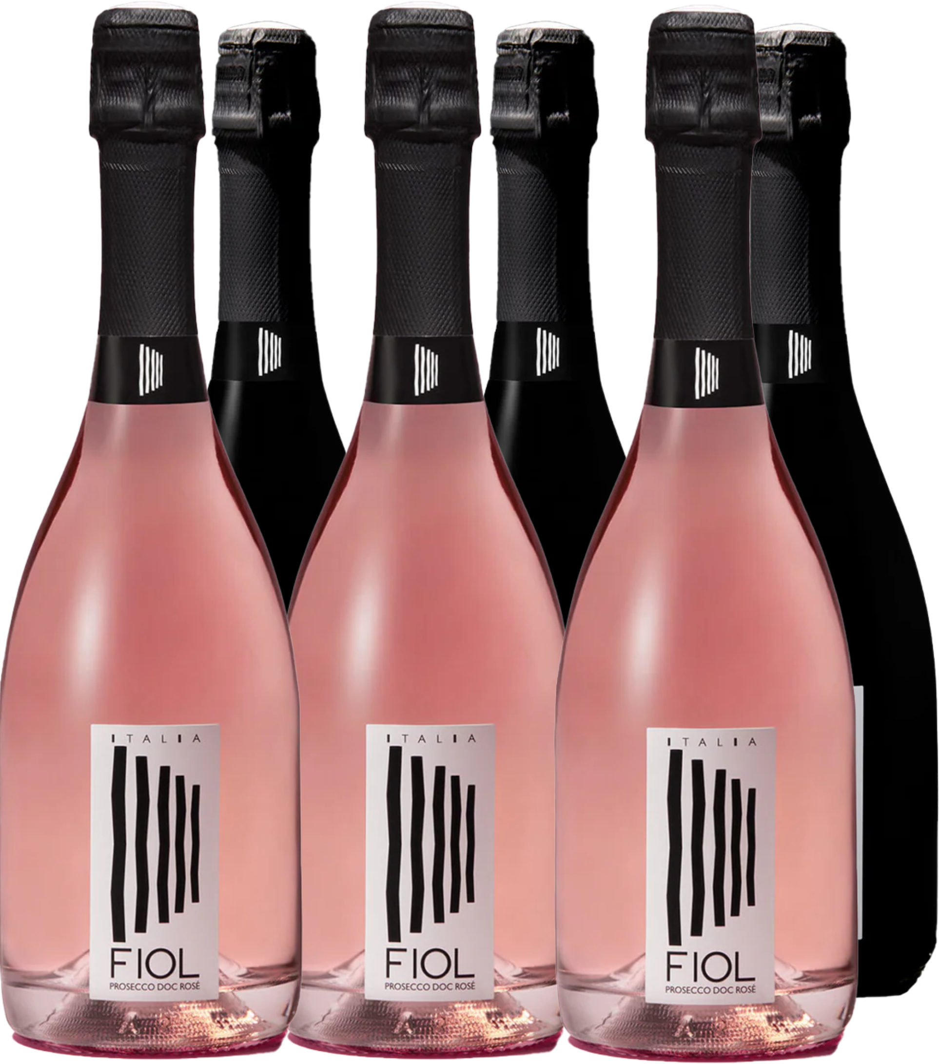 Fiol Wine Box Prosecco Extra Dry e Rosé (12bt)