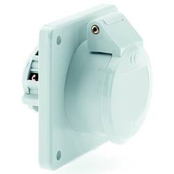 Bals Elektrotechnik 4366 4366 CEE Anbaudose 32.0 A 2polig 50 V 1 St.