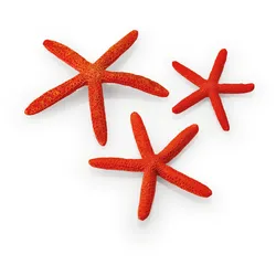 biOrb Seesterne Set 3 rot (48356)