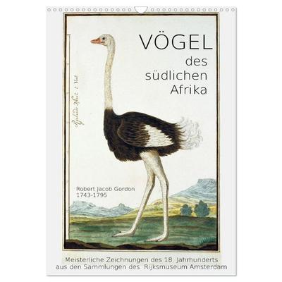 Vögel des südlichen Afrika (Wandkalender 2026 DIN A3 hoch), CALVENDO Monatskalender