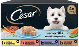 Cesar Receitas Sênior 10+ Multipack 6 uds x 4 uds