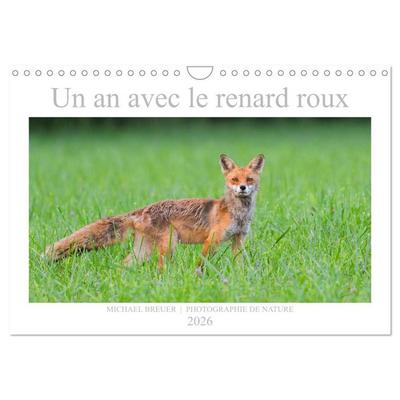 Un an avec le renard roux (Calendrier mural 2026 DIN A4 vertical), CALVENDO calendrier mensuel