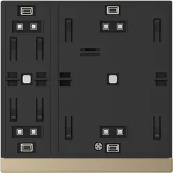 WALTZ Tastsensor+ 2-fach  Basis, Aluminium Champagner für Wippen 88189213