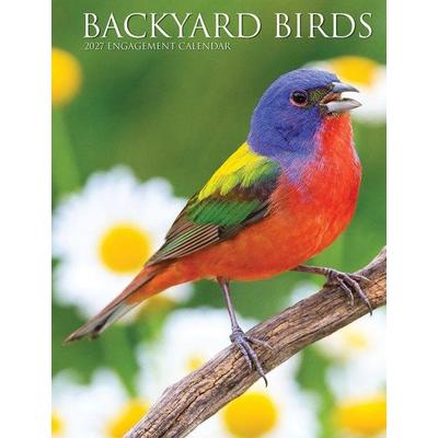 Backyard Birds 2027 6.5 X 8.5 Engagement Calendar