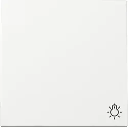 Gira 328503 Wippe Symb. Licht System 55 Reinweiß