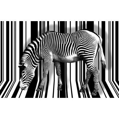 Fototapete PAPERMOON "Zebra", bunt, B:5m L:2,8m, Vlies, Tapeten