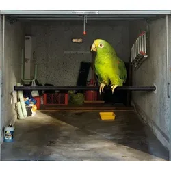 Scheurich Garagentorplane Vogel, für Schwing- und Sektionaltore