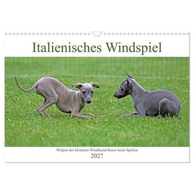 Italienisches Windspiel (Wandkalender 2027 DIN A3 quer), CALVENDO Monatskalender