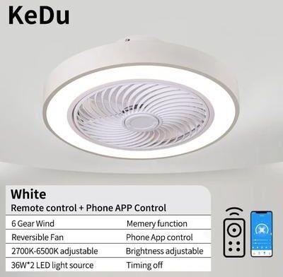 Uplifted Finds Integrated Modern Ceiling Fan Light white 220 V