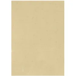 Baier & Schneider, Bastelpapier, Elefantenhaut (190 g/m2, 1x)