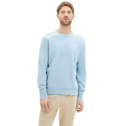 Tom Tailor Herren Rundhals Pullover PRINTED CREWNECK - Regular Fit - Tender Sea Green 35169 - XXL