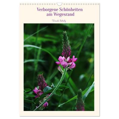 Verborgene Schönheiten am Wegesrand (Wandkalender 2026 DIN A3 hoch), CALVENDO Monatskalender