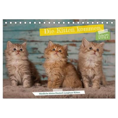 Die Kitten kommen. (Tischkalender 2027 DIN A5 quer), CALVENDO Monatskalender