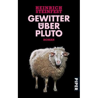 Gewitter über Pluto, Taschenbuch von Heinrich Steinfest, Piper Taschenbuch, 978-3-492-26366-5