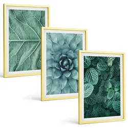 BILDER SET 3er Set - 40x60 cm Goldrahmen - Nahaufnahme von Pflanzenblättern