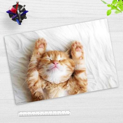 Cover-your-desk Schreibtischunterlage für Kinder und Erwachsene Süßes Katzenbaby beim Schlafen, aus hochwertigem Vinyl , 60 x 40 cm