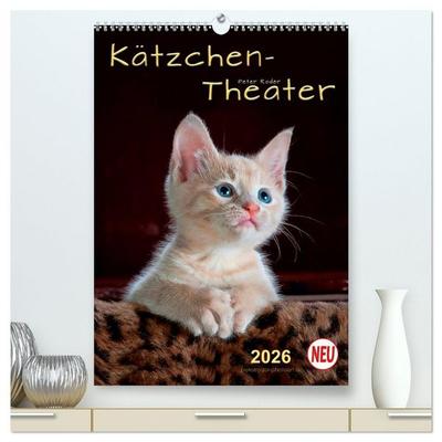 Kätzchen - Theater (hochwertiger Premium Wandkalender 2026 DIN A2 hoch), Kunstdruck in Hochglanz