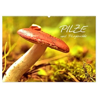 Pilze und Pilzgerichte (Wandkalender 2027 DIN A2 quer), CALVENDO Monatskalender