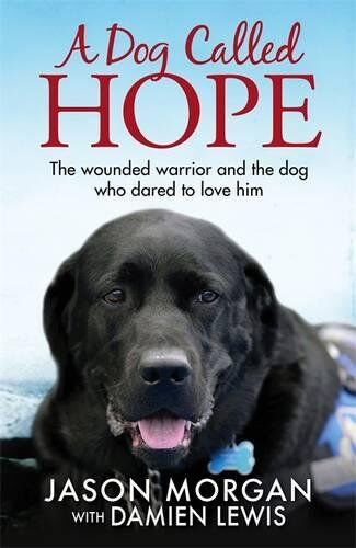 Damien Lewis - A Dog Called Hope: The wounded warrior and the dog who dared to love him - Preis vom 10.10.2026 11:48:34 h