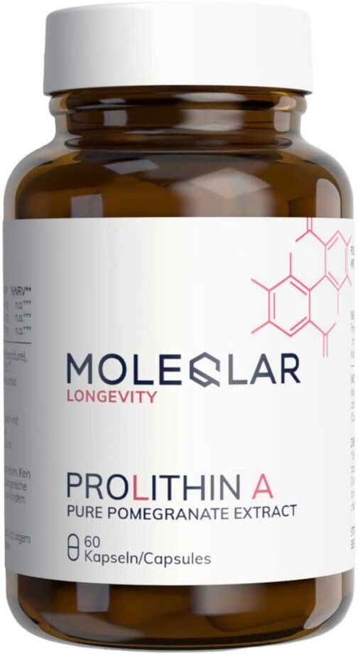 Moleqlar Prolithin A Kapseln (Urolithin A Vorläufer)