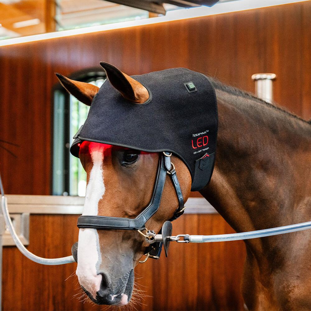 Horseware LED Red Light Therapy Poll Cap, Farbe:black/black, Größe:Warmblut