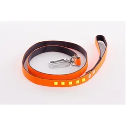 Martin Sellier Leine für Hunde fluoreszierend (100, Hund, Spazieren), Halsband + Leine